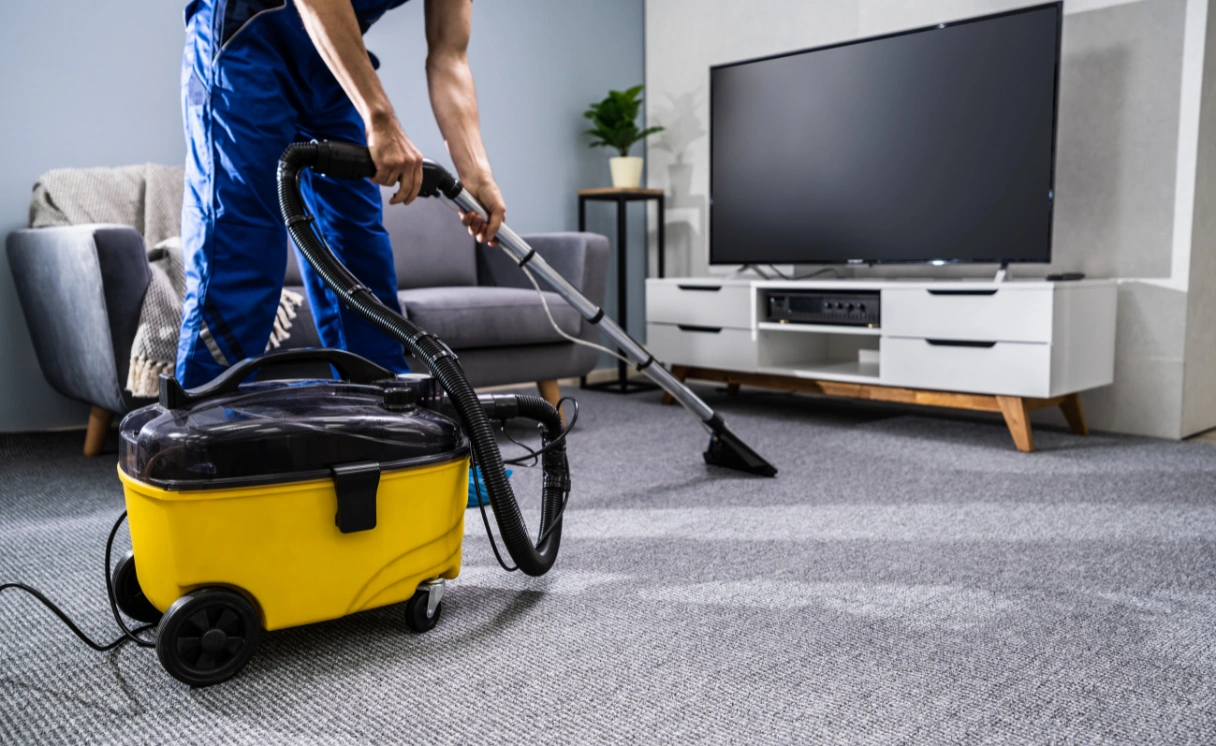 Extract Upholstery Cleaning Watsonia Contact Office